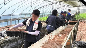 폭염 속 미호강 수해 복구 '사투'&hellip;노동자 온열질환 사망