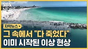 이미 시작된 이상 현상