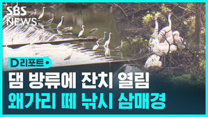 댐방류