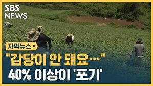 자막 어상천 수박