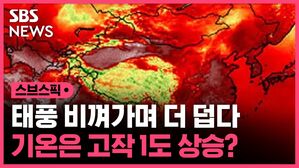 스브스픽 태풍 비껴가며 더 덥다 기온은 고작 1도 상승?