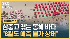 동해 바다 삼중고