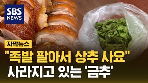 상추 금추