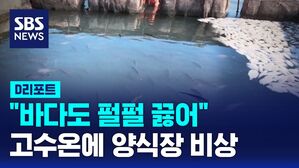 D리포트 - 양식장