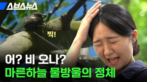 어 비오나 마른하늘 물방울의 정체