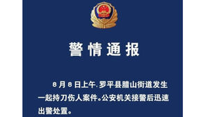 중국 공안 발표문 (사진=윈난성 러핑현 공안국 캡처, 연합뉴스)
