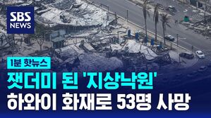 1분핫 - 하와이