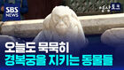 [영상토크] 경복궁을 지키는 동물들
