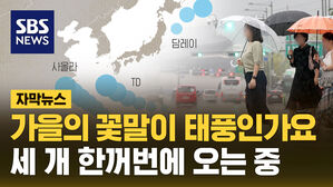 가을의 태풍들