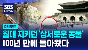월대 D리포트