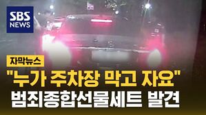 범죄종합선물세트