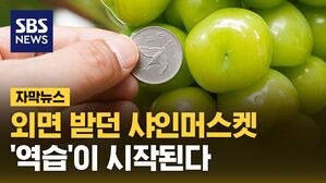 샤인머스켓