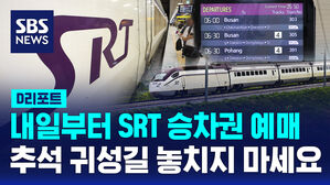SRT 디리
