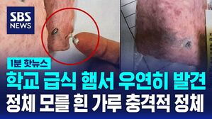 [1분핫뉴스] 학교 급식 햄서 우연히 발견&hellip;정체 모를 흰 가루 충격적 정체