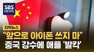 자막 애플