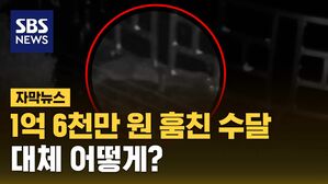 자막 도둑 수달