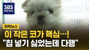 자막 썸넬_개코는 지문