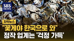 자막 꽃게