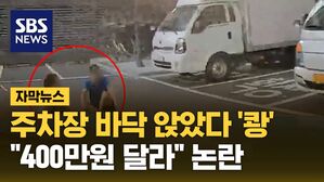 자막 합의금