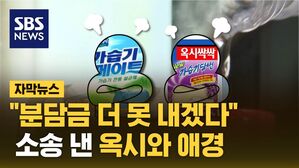 자막 가습기