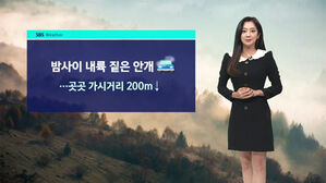 날씨 - 8 뉴스 (양태빈)