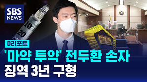 하정연디리