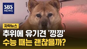 자막 한파특보