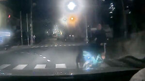 "브레이크 안돼" 30초 만에 쾅…공유업체는 '이상 없음'