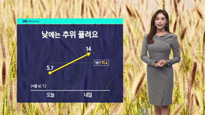 날씨-8시뉴스(안수진)