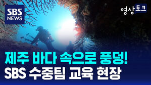 수중취재팀 사진