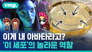 VMG. 이게 내 아바타라고? 이 세포의 놀라운 역할