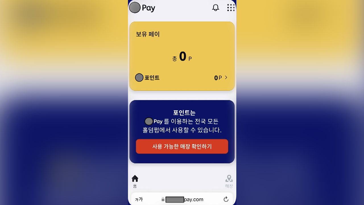 앱 개발 불법 환전 홀덥펍 업주 검거