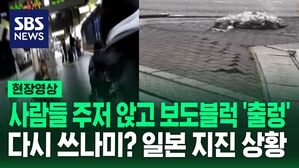 현장영상 쓰나미