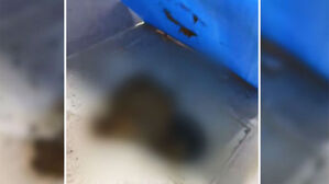 세종 역대 최고 분양가 새 아파트, 입주자들 경악한 이유