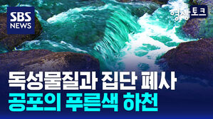 독성물질과 집단 폐사 공포의 푸른색 하천