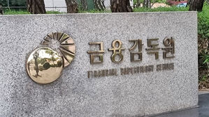 금감원 "보험 법인모집대리점 의도적 위법, 최고수준 제재"