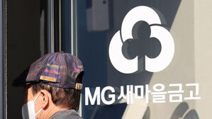 새마을금고 건전성 특별관리&hellip;행안부&middot;금융당국 공조 강화