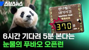 6시간 기다려 5분 본다는 눈물의 푸바오 오픈런
