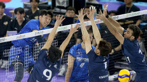 '남자배구 선두' 대한항공 7연승…여자부 정관장은 5연승