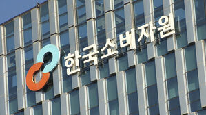 소비자 10명 중 7명, 제품 구입 전 이것저것 따져본다