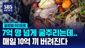 [글로벌D리포트] 7억 명 넘게 굶주리는데&hellip;매일 10억 끼 버러진다