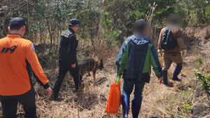 가시덤불 헤치고 길 잃은 고사리 채취객 찾은 119구조견