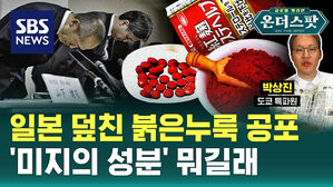 [온더스팟] 빗발치는 의심 신고, 자고 나면 늘어나는 사망자…지금 일본은