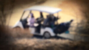 부산 골프장서 트럭이 카트 추돌&hellip;2명 사망&middot;4명 부상