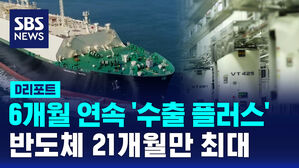 [D리포트] 6개월 연속 '수출 플러스'&hellip;반도체 21개월 만 최대