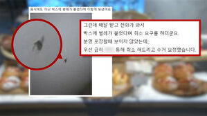 "벌레 있어" 환불&hellip;케이크 받아보곤 '황당', 왜?