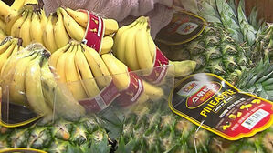 바나나&middot;파인애플&middot;오렌지 수입 '쑥'&hellip;사과&middot;배 수출은 감소