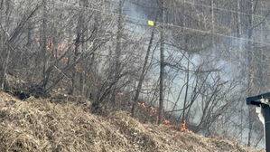 강원 홍천 캠핑장 인근서 산불&hellip;2시간 반 만에 꺼져