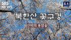 [영상토크] 북한산 꽃구경