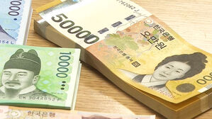 현금배당 늘리면 세금 깎아준다&hellip;주식배당은 제외